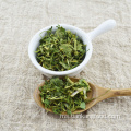 Rempah -rempah sayur -sayuran kering dan batang cilantro premium